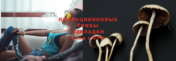 spice Абинск