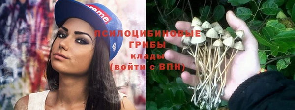 spice Абинск
