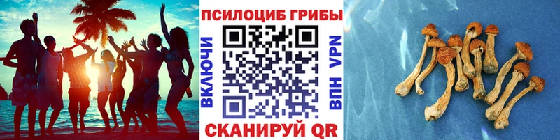 где купить   mega онион  Галлюциногенные грибы ЛСД  Устюжна 